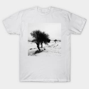 Blizzard in Greece T-Shirt